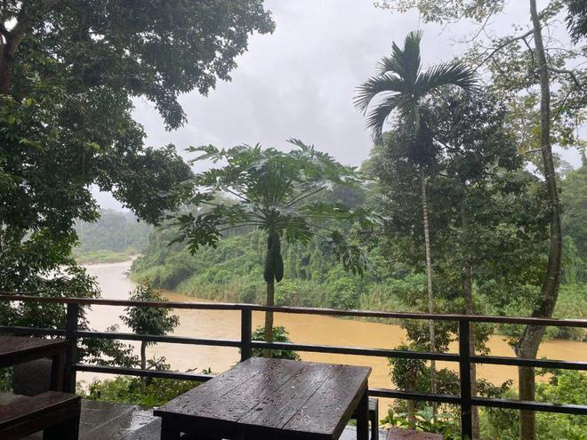 今年最猛的旅行在大马雨林里徒步7小时