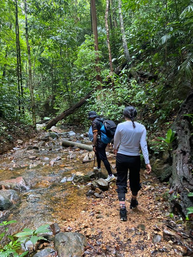 今年最猛的旅行在大马雨林里徒步7小时(图8)