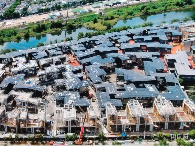 媒体海棠行：见证多元魅力 共绘发展新画卷(图4)