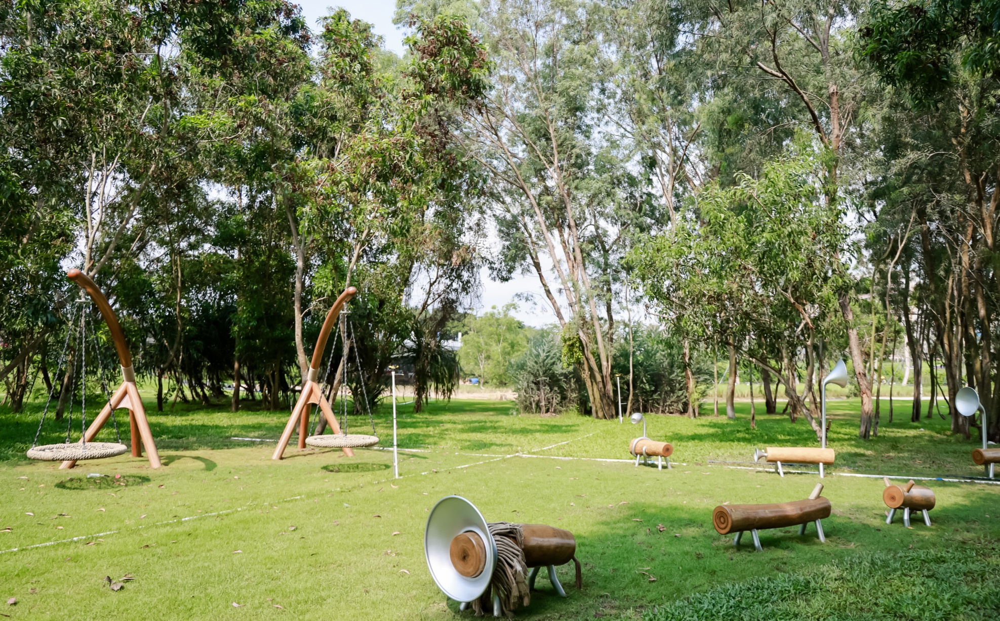 媒体海棠行：见证多元魅力 共绘发展新画卷(图9)