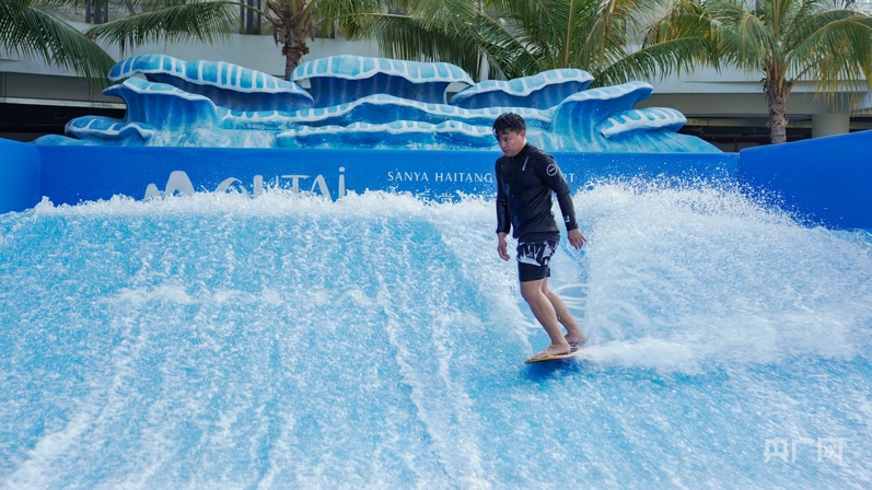 媒体海棠行：见证多元魅力 共绘发展新画卷(图17)