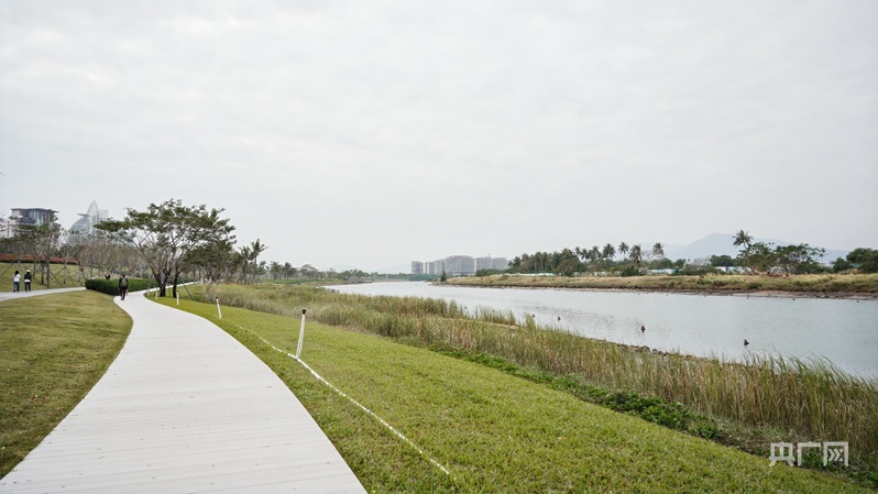 今年以来三亚市海棠区涉旅业态企业接待游客超1800万人次(图3)