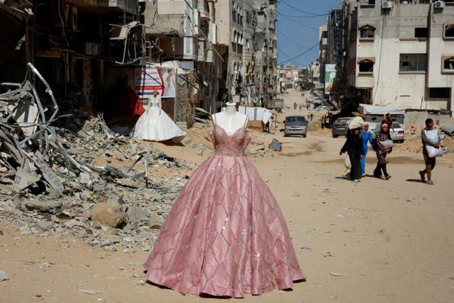 瞬间记录永恒：影像讲述2024年的爱与悲伤毁灭与重生