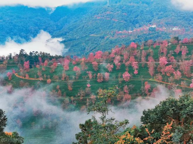 淡季旅游11-12月适合去的旅行地(图8)