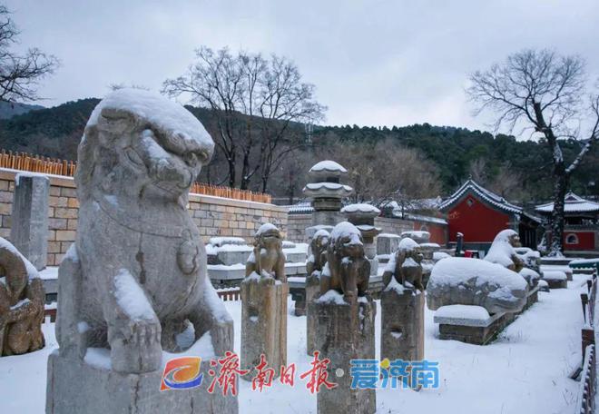 这一站济南！《济南冰雪地图》来了！滑雪嬉雪赏冰瀑……尽享美好冰雪时光！(图4)