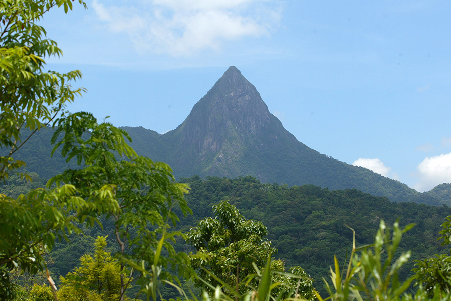 冬游海南⑪ 从一条路开始与山海相拥(图2)