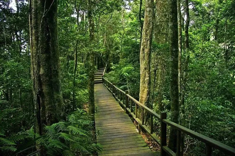 冬游海南⑪ 从一条路开始与山海相拥(图3)