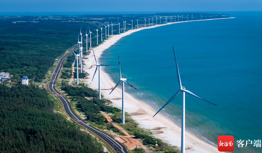 冬游海南⑪ 从一条路开始与山海相拥(图4)