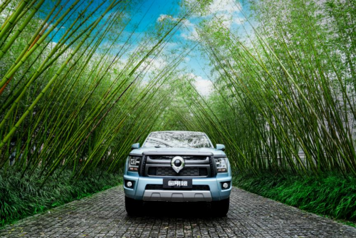 第27次夺冠 长城皮卡2024年全球累计销量突破177万辆 再创行业新巅峰(图3)