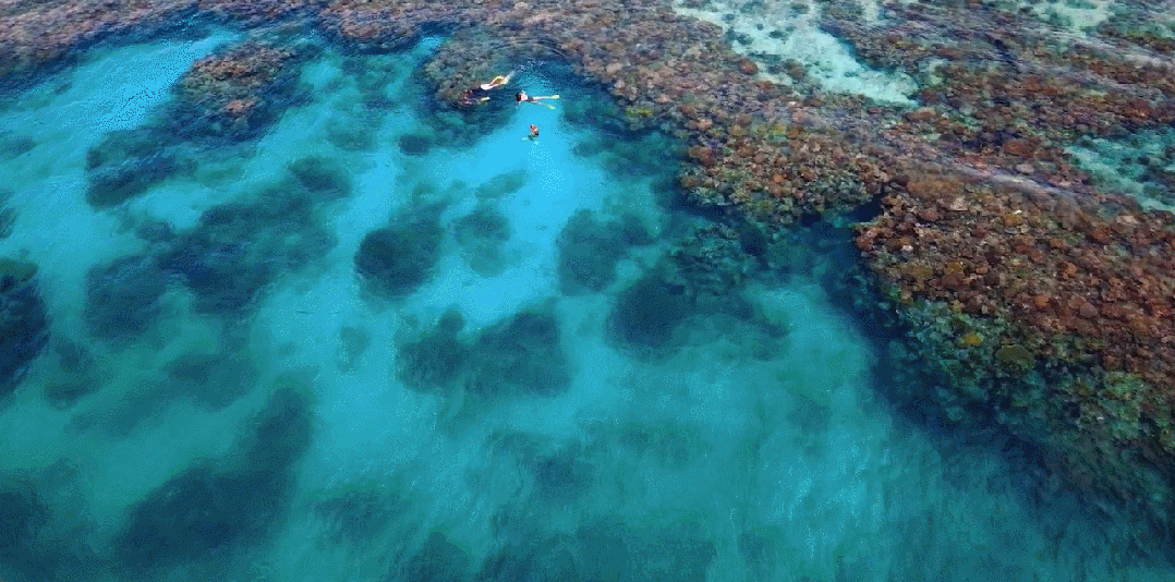 人生海岛必有“斐济”免签又好玩！打卡麦当娜私藏的隐密岛解锁VOMO假期(图5)