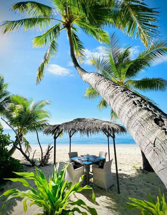 人生海岛必有“斐济”免签又好玩！打卡麦当娜私藏的隐密岛解锁VOMO假期(图8)