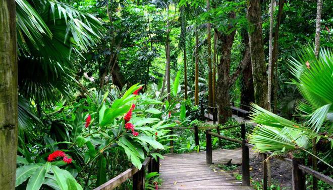 人生海岛必有“斐济”免签又好玩！打卡麦当娜私藏的隐密岛解锁VOMO假期(图15)