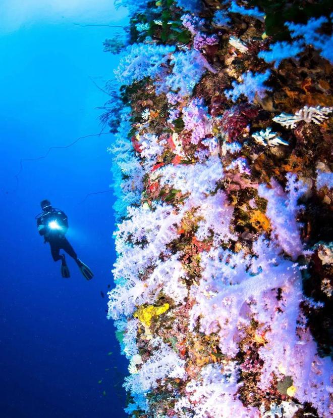 人生海岛必有“斐济”免签又好玩！打卡麦当娜私藏的隐密岛解锁VOMO假期(图25)