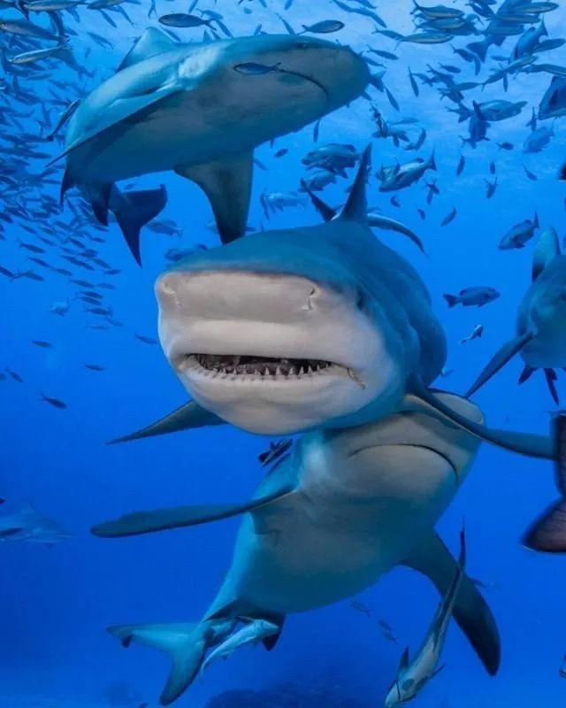 人生海岛必有“斐济”免签又好玩！打卡麦当娜私藏的隐密岛解锁VOMO假期(图59)