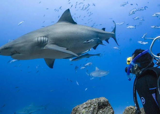 人生海岛必有“斐济”免签又好玩！打卡麦当娜私藏的隐密岛解锁VOMO假期(图58)