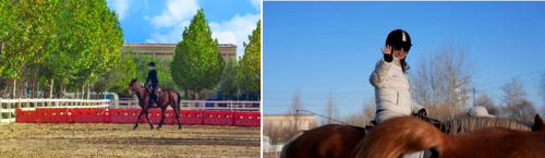 【金盏微度假 现在就出发】金日畅想之旅：商旅纵横 畅想未来(图2)