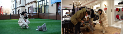 【金盏微度假 现在就出发】金日畅想之旅：商旅纵横 畅想未来(图4)