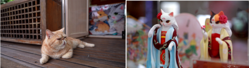 【金盏微度假 现在就出发】金日畅想之旅：商旅纵横 畅想未来(图6)