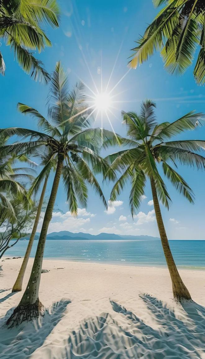 海南三亚——冬日里的热带天堂(图3)