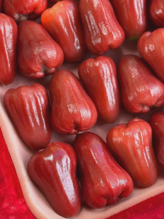 海南三亚——冬日里的热带天堂(图11)