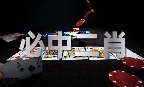 香港内部免费公开资料全年查询V