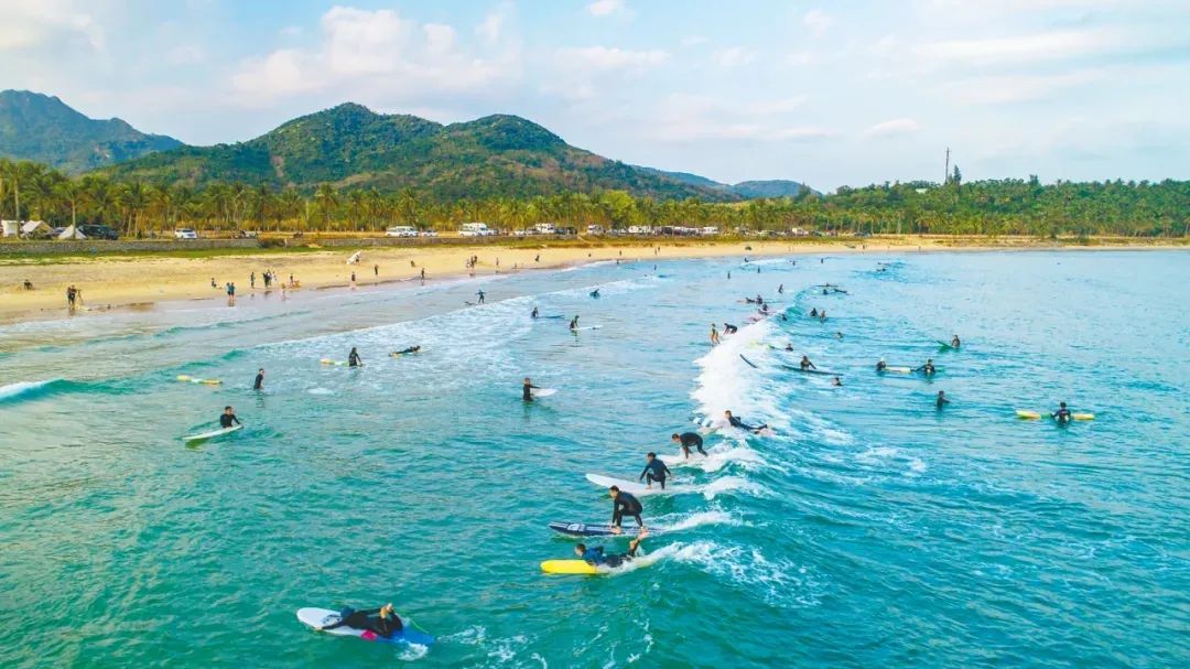 滑板色彩冲浪最新版本2024