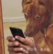 TikTok即将被封 歪果仁疯狂涌入小红书：中外网友边互助边搞抽象(图3)