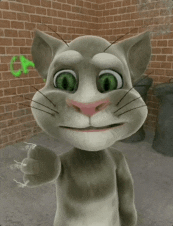 全球下载突破100亿次 《会说话的汤姆猫》可能要死了(图5)