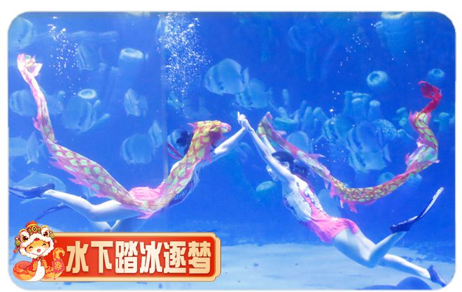 文末有礼 春节出行这份“童趣礼包”等待查收→(图2)