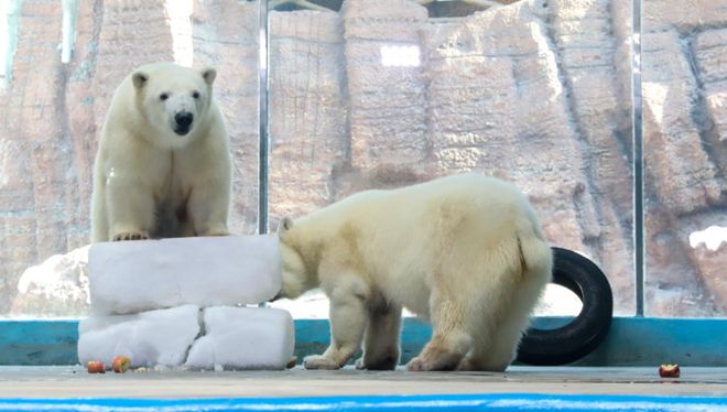 文末有礼 春节出行这份“童趣礼包”等待查收→(图3)