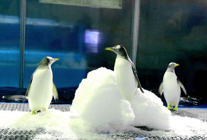 文末有礼 春节出行这份“童趣礼包”等待查收→(图4)