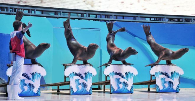 文末有礼 春节出行这份“童趣礼包”等待查收→(图6)