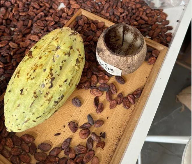 度假旅行丨2025「海南房车」环岛7天6晚自驾游(图17)