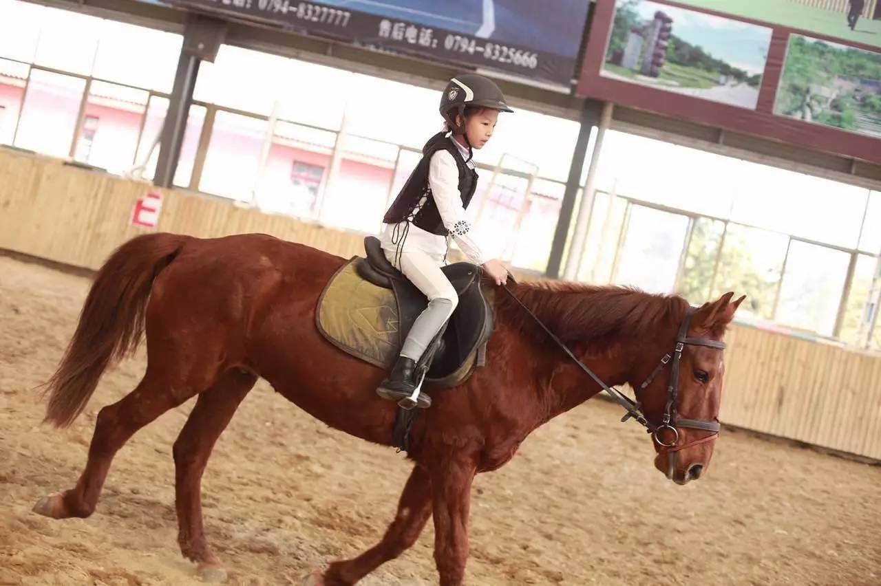 暑期跟着晨报飞！四大主题、五大特色夏令营期待你的挑战！(图9)