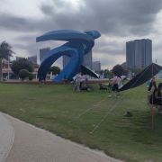 迎接2025的浪潮！万宁冲浪爱好者新年大派对回顾