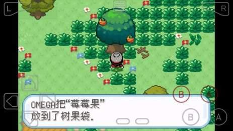 口袋妖怪剑盾102汉化版