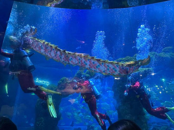 古风国潮非遗元素满满灵蛇献祥瑞好景好玩好乐趣(图7)