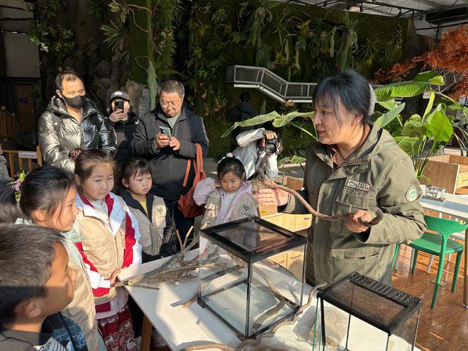 古风国潮非遗元素满满灵蛇献祥瑞好景好玩好乐趣(图10)