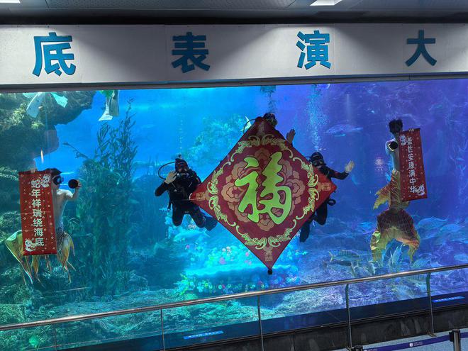 古风国潮非遗元素满满灵蛇献祥瑞好景好玩好乐趣(图5)