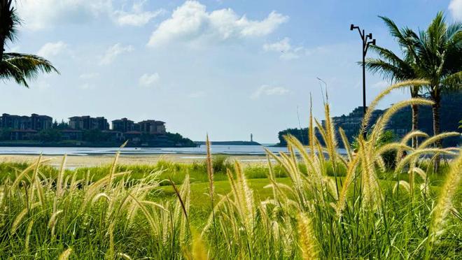 2025-保利半岛1号官方网站-三亚保利半岛1号售楼处-欢迎您(图11)