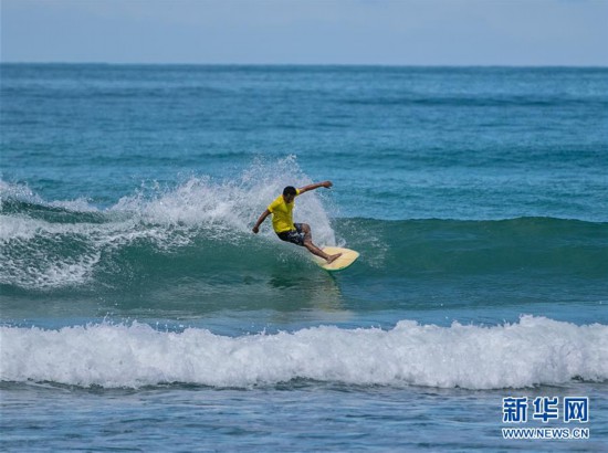 组图：美国“狗狗冲浪大赛”滑稽开赛