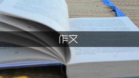 网上冲浪作文600字