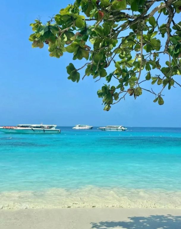 来旅游必看！春节泰国五日游路线日游保姆级攻略(图4)