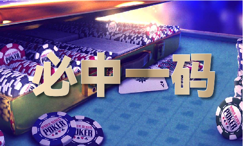 高手联盟独家发表2024年资料