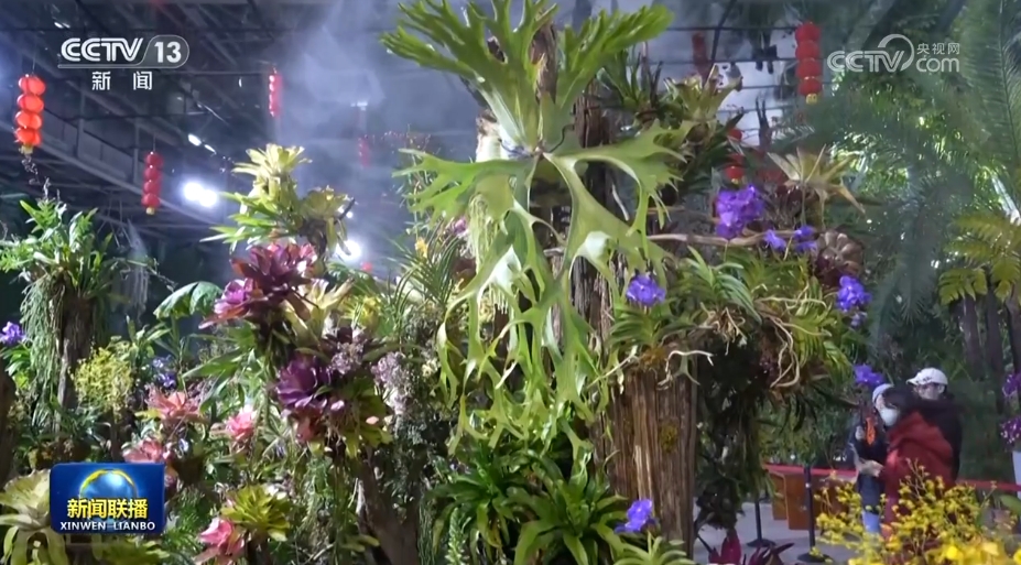 外贸“新高”、文旅“多彩”、消费“红火” 多领域发展活力涌动(图9)