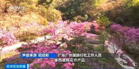 节后出游正当时！冲浪、赏花 错峰旅行更划算(图4)