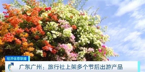 节后出游正当时！冲浪、赏花 错峰旅行更划算(图3)