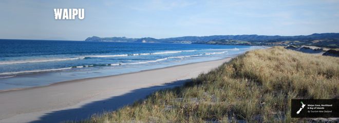 新西兰最佳海滩榜出炉！奥克兰一处上榜！“年度黑马”夺得两项冠军！适合周末全家出游！(图3)