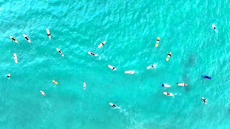 逐际动力创始人：智能机器人如何从“用起来”到“能干活”再到“挣到钱”？