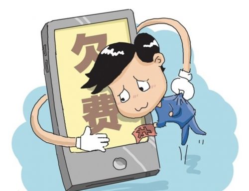 零碳联盟网站停网事件：欠费风波引发外界关注